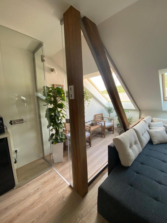 Apartmany & Wellness Revenite 예세니크 외부 사진