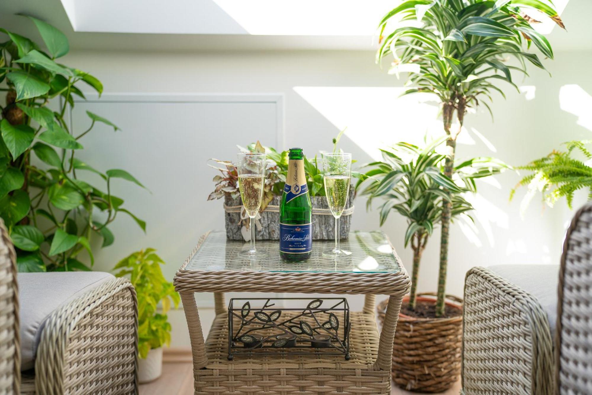 Apartmany & Wellness Revenite 예세니크 외부 사진